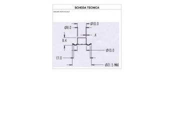 AS.scheda3