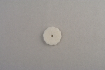 RF311.JPG